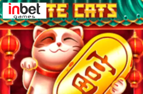 Cute Cats